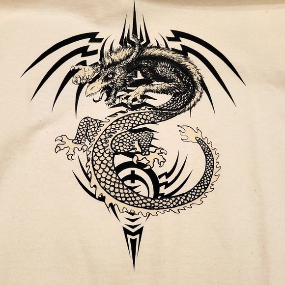 Youth Dragon Design Changing Shirt - Picture 1 of 2